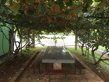 Villa Pinija fotografija 10